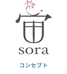sora